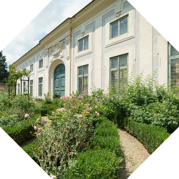 Limone Cedrato 〈リモーネ チェドラート〉 500ml