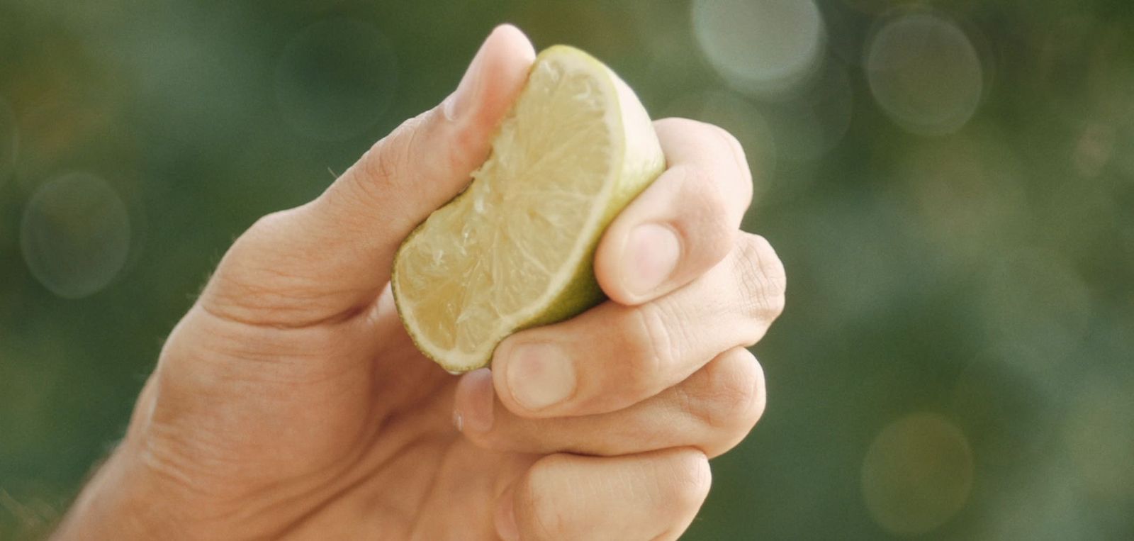 GINGER&LIME <ジンジャー・ライム> 500ml