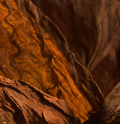 Rosa Tabacco 〈ローザ・タバッコ〉 500ml