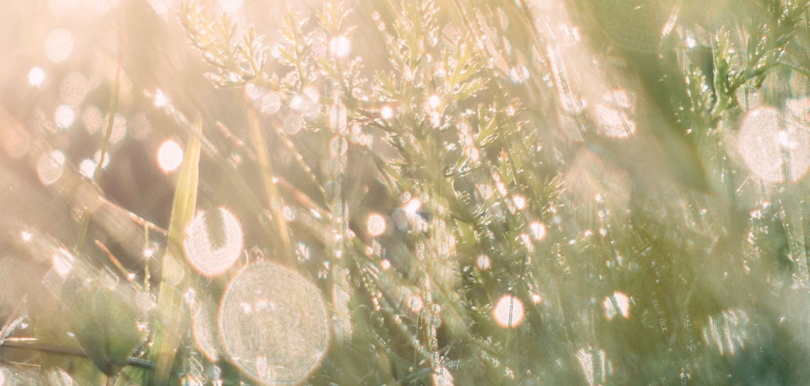 ARIA〈アリア〉 500ml