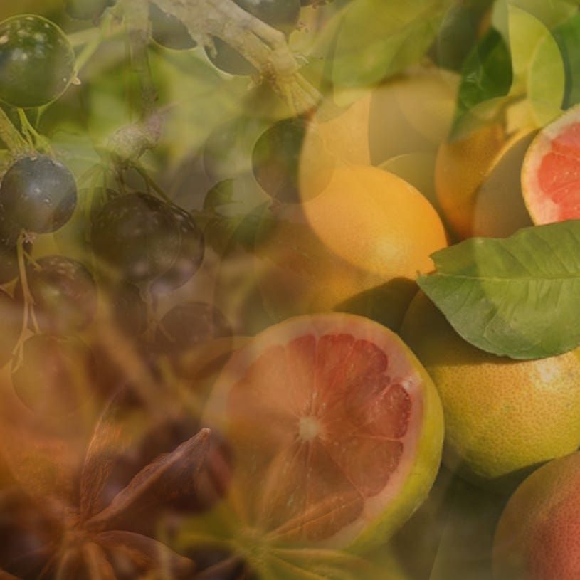 Pompelmo Cassis 〈ポンペルモ・カシス〉 500ml