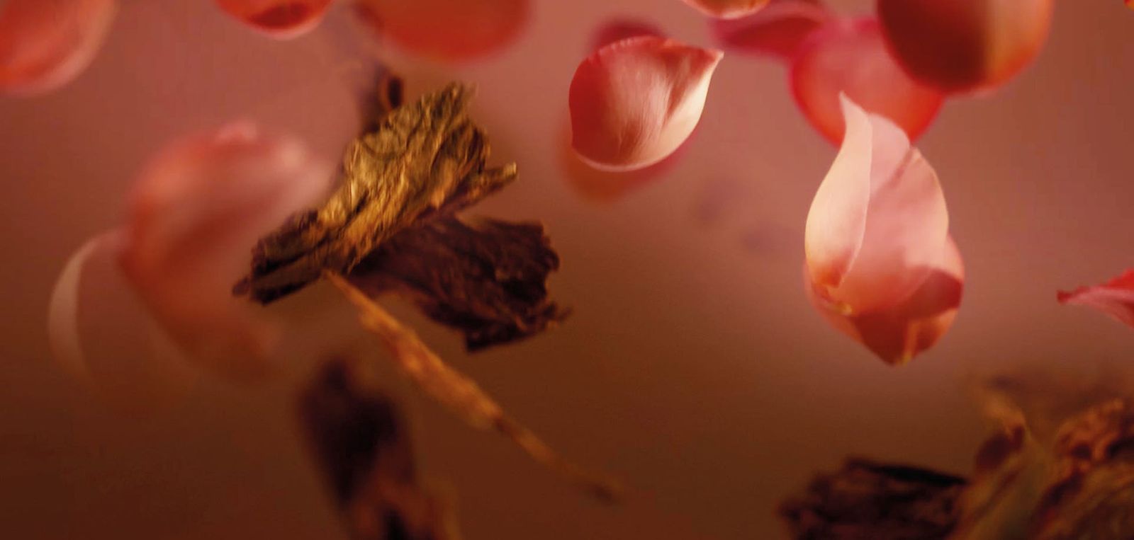 Rosa Tabacco 〈ローザ・タバッコ〉 500ml