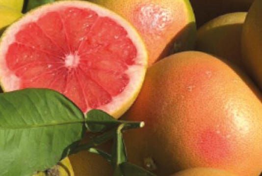 Pompelmo Cassis 〈ポンペルモ・カシス〉 500ml