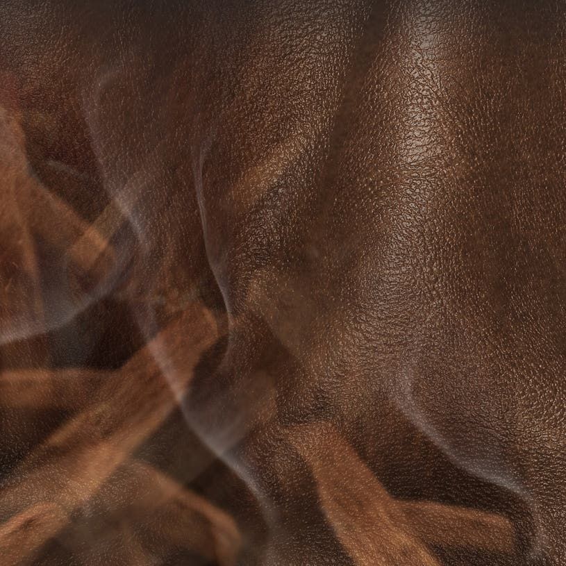 LEATHER OUD <レザー・ウード> 250ml