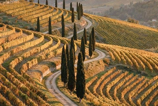 FICO AROMATICO 〈フィーコ アロマティコ〉 250ml