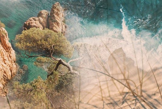 ACQUA〈アクア〉 500ml