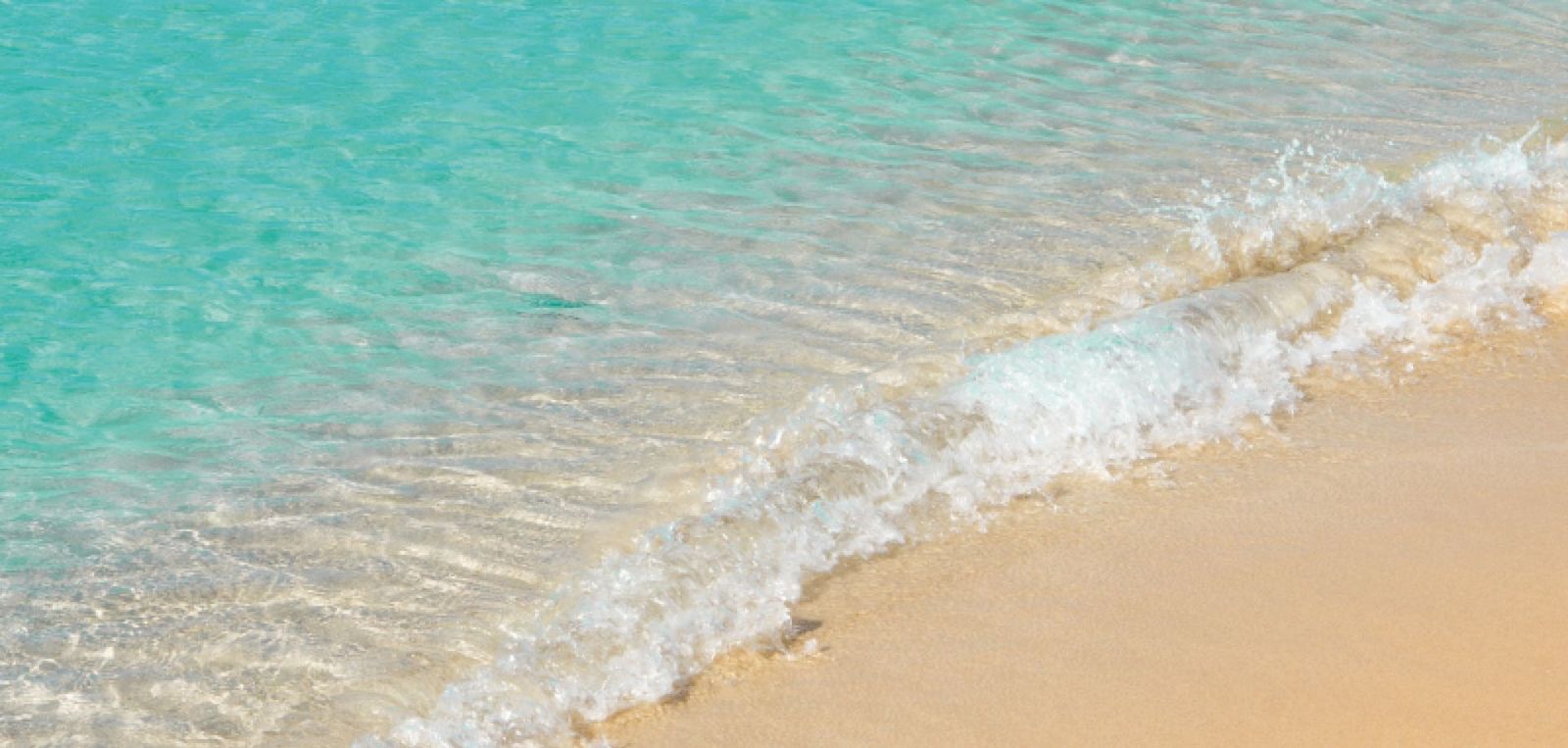 Acqua 500ml Refill complimentary Sticks 〈アクア〉500ml