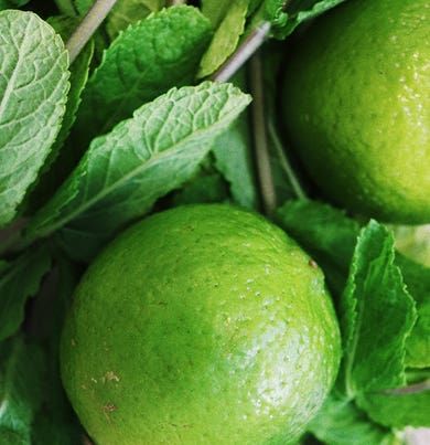 GINGER&LIME <ジンジャー・ライム> 500ml