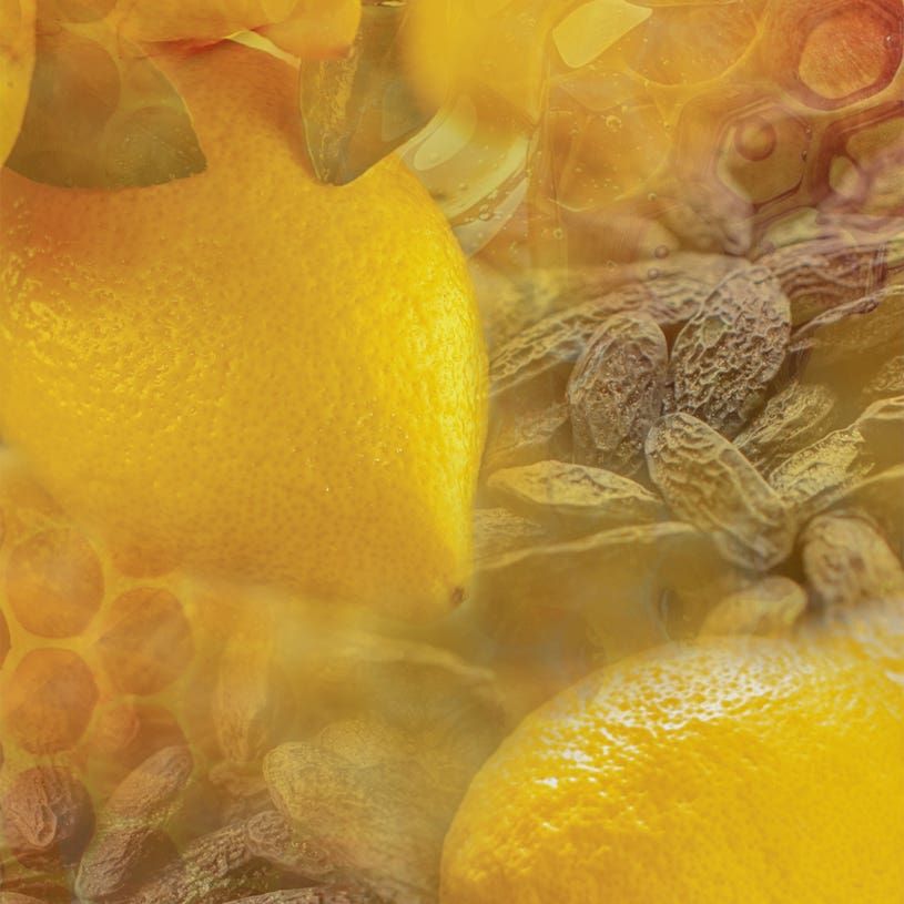 MIELE E LIMONE〈ミエーレ・エ・リモーネ〉 ハンドソープ