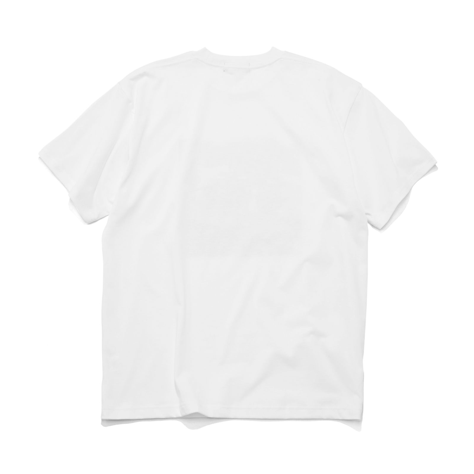 GX-S25-ST-21   T-SHIRT   WHITE