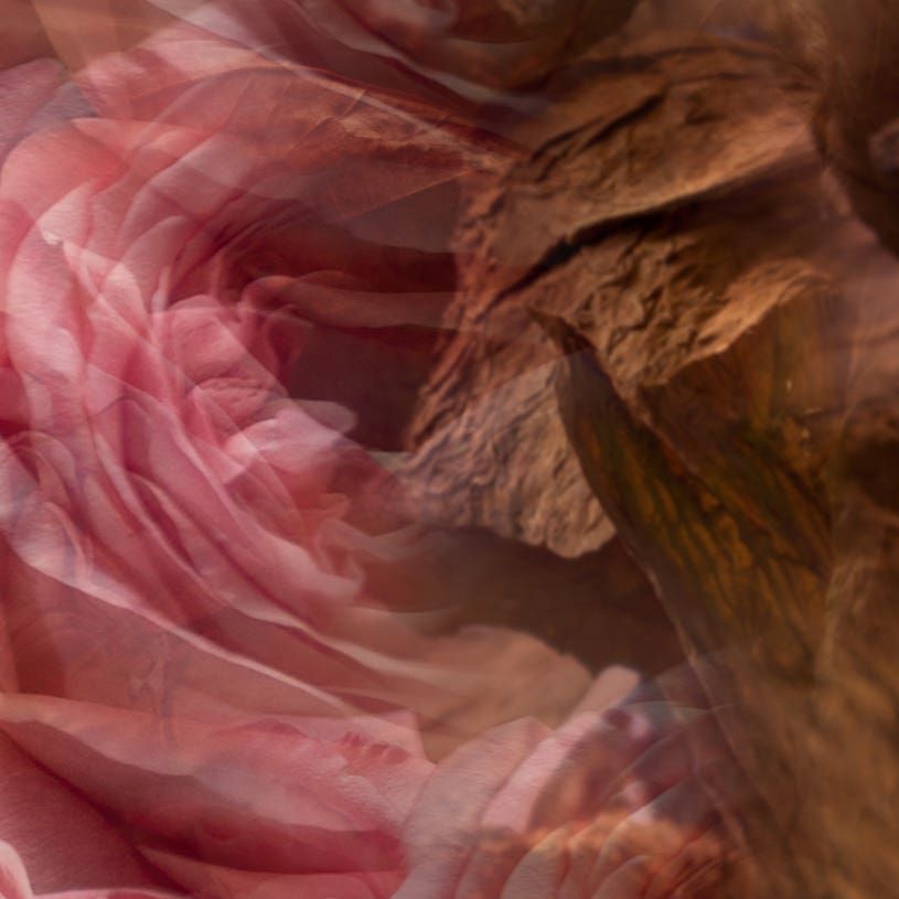 Rosa Tabacco 〈ローザ・タバッコ〉 500ml