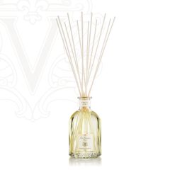 GINGER&LIME <ジンジャー・ライム> 500ml