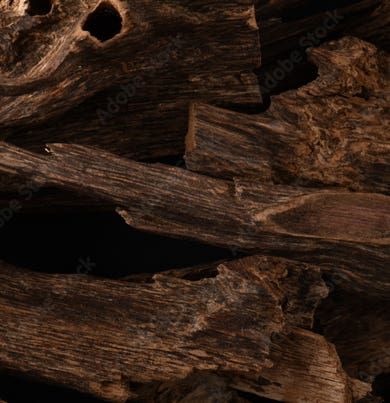 LEATHER OUD <レザー・ウード> 250ml