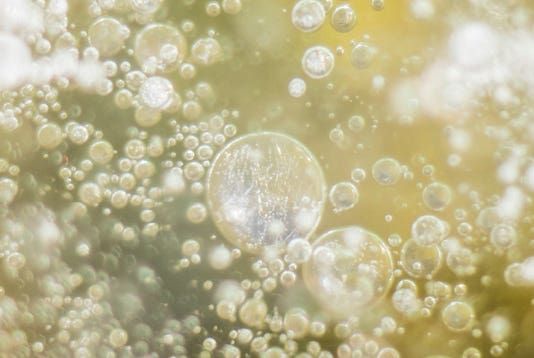 Bellini 〈べリー二〉 250ml