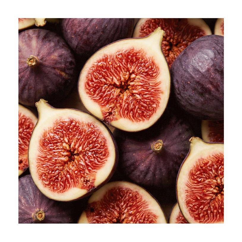 FICO AROMATICO 〈フィーコ アロマティコ〉 250ml