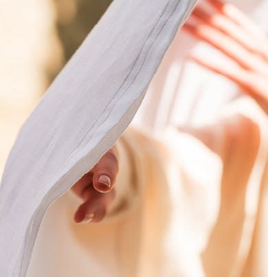 ARIA〈アリア〉 500ml