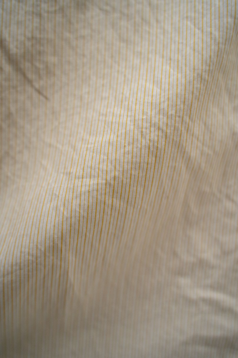 【ラスト1点】【24SS】Fine Cotton Tab Collar Shirt/ ファインコットンタブカラーシャツ(YELLOW)