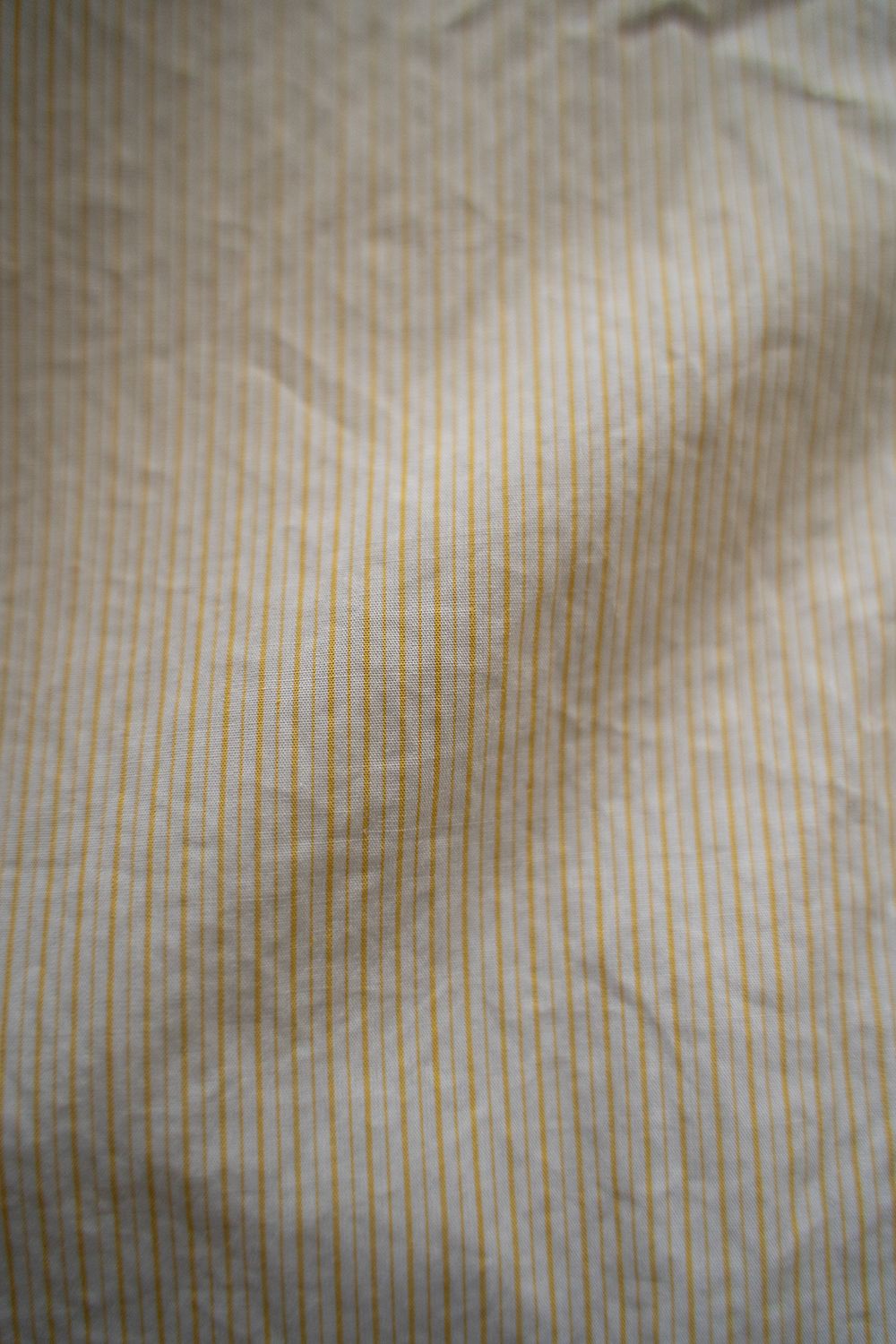 【ラスト1点】【24SS】Fine Cotton Tab Collar Shirt/ ファインコットンタブカラーシャツ(YELLOW)
