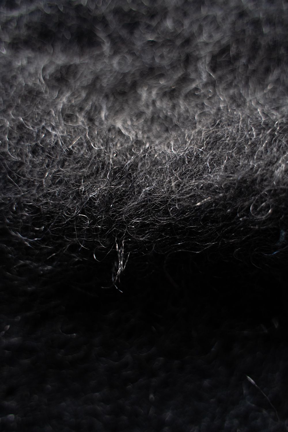 【ラスト1点】【24AW】Akane Mohair Cardigan(BLACK)
