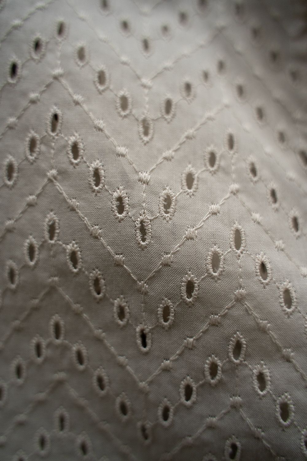 【ラスト1点】【24SS】Lawn Lace Shirt/ローンレースシャツ(ECRU)