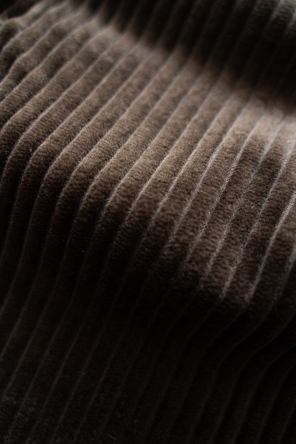 【25AW】3.5W太畝コーデュロイイージーパンツ(BROWN)