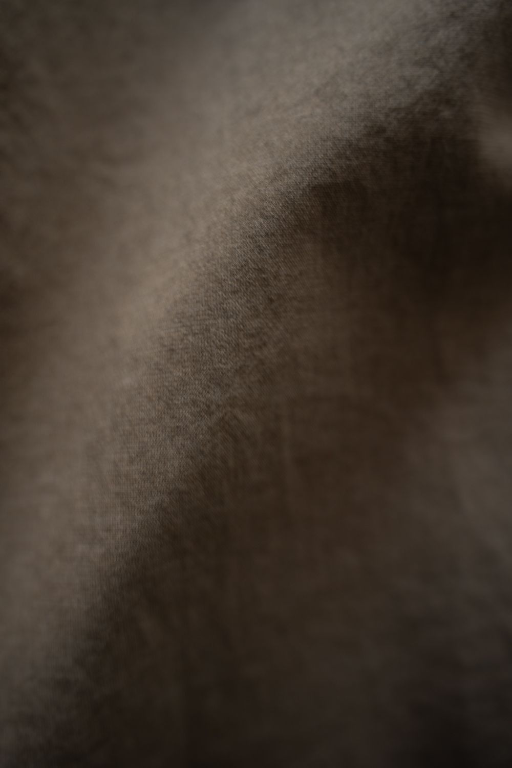 【26SS】2-Tack Wide Slacks/2タックワイドスラックス(BEIGE)