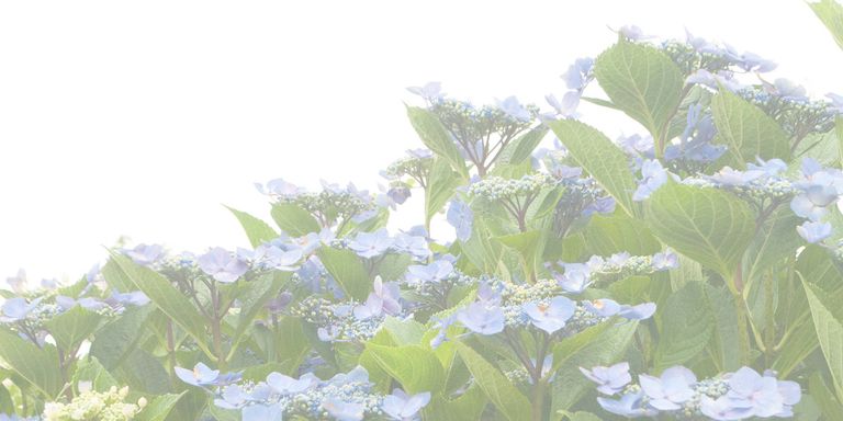 点と点。