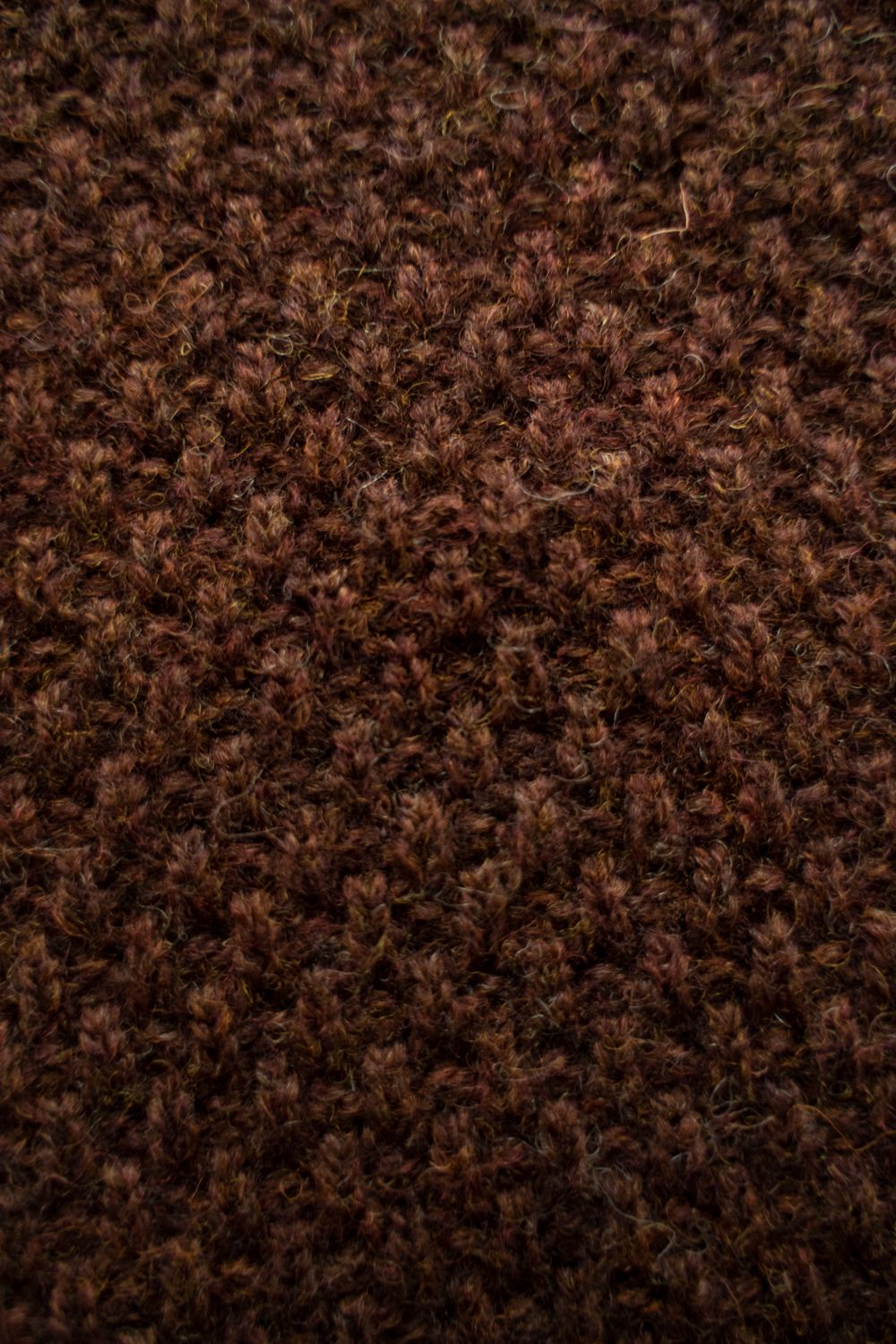 【25AW】英国羊毛5Gニットジップブルゾン(MARRON)