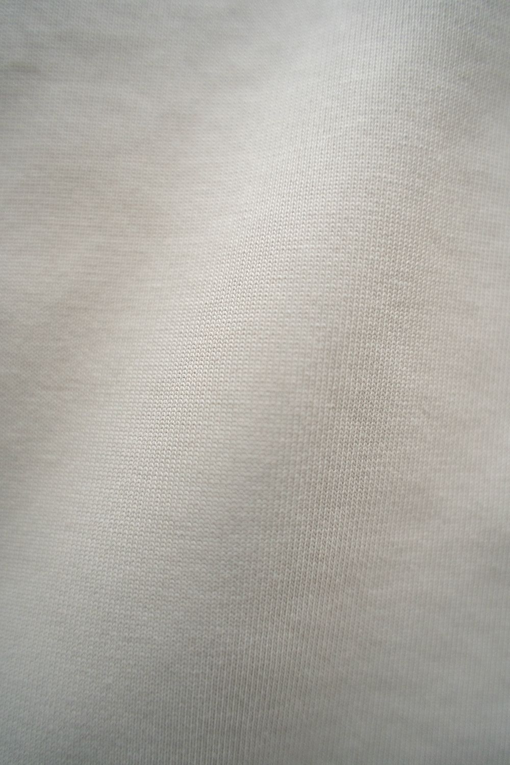 【ラスト1点】【25SS】強撚コットン度詰Tシャツ(PALE GRAY)