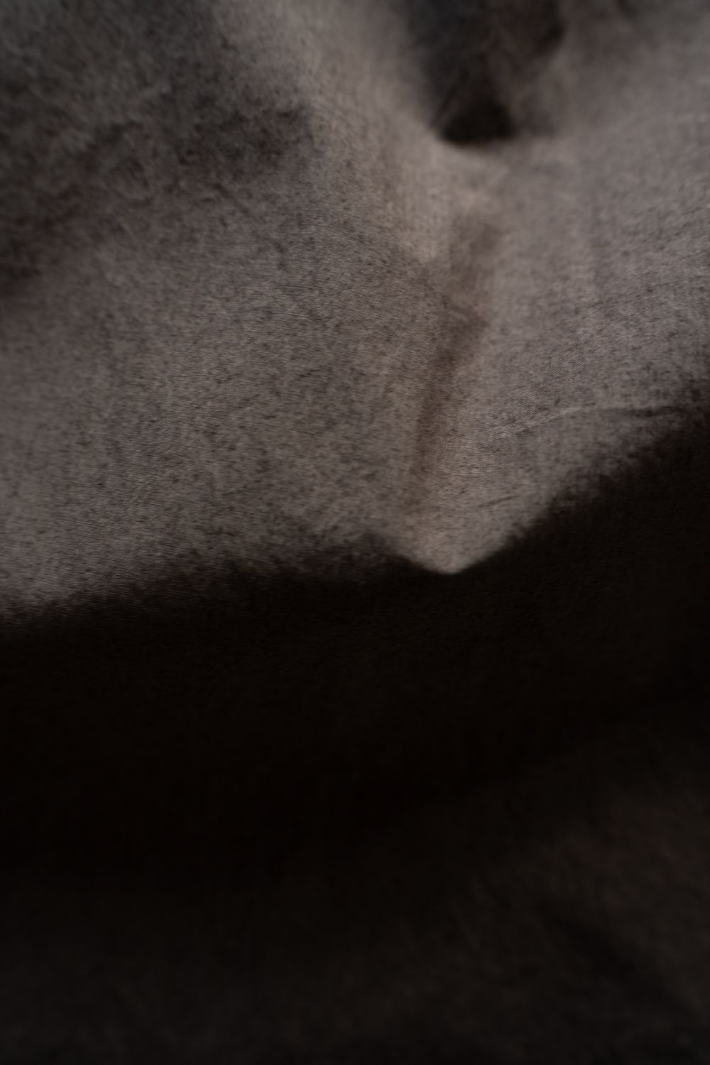 【26SS】ガーメントダイワンタックパンツ(BROWN CHARCOAL)