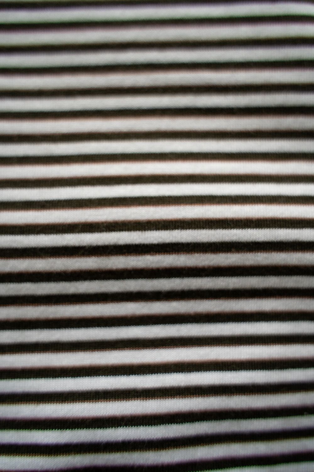 【ラスト1点】【25SS】ボーダーTシャツ(WHITE×OLIVE)