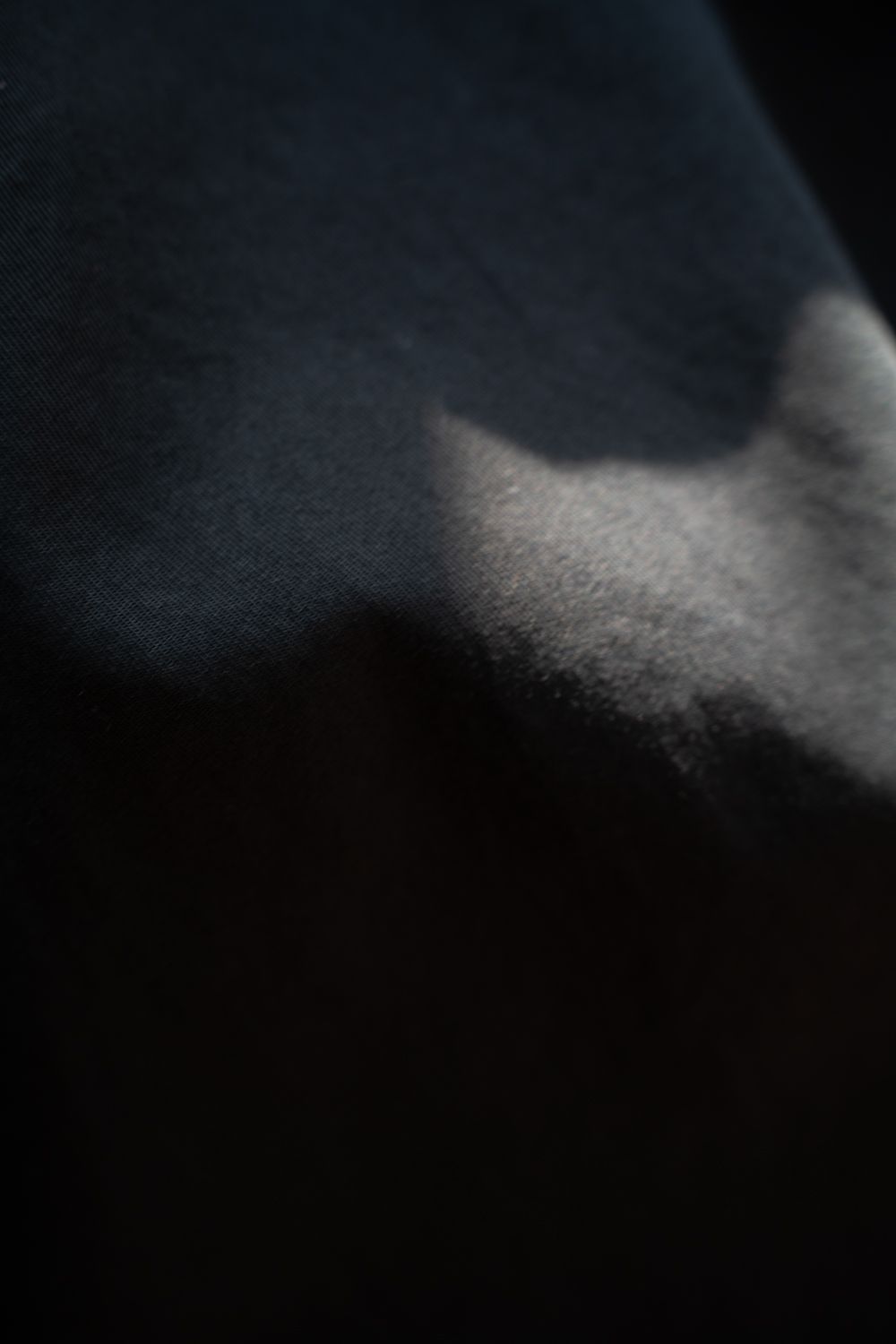 【26SS】ガーメントダイ2タックテーパードパンツ(INK BLACK)