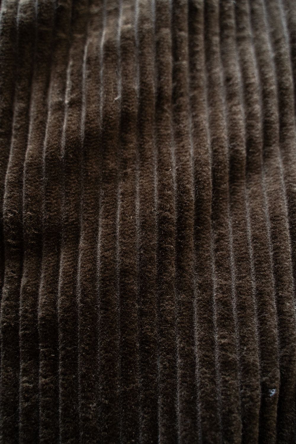 【25AW】3.5W太畝コーデュロイイージーパンツ(BROWN)