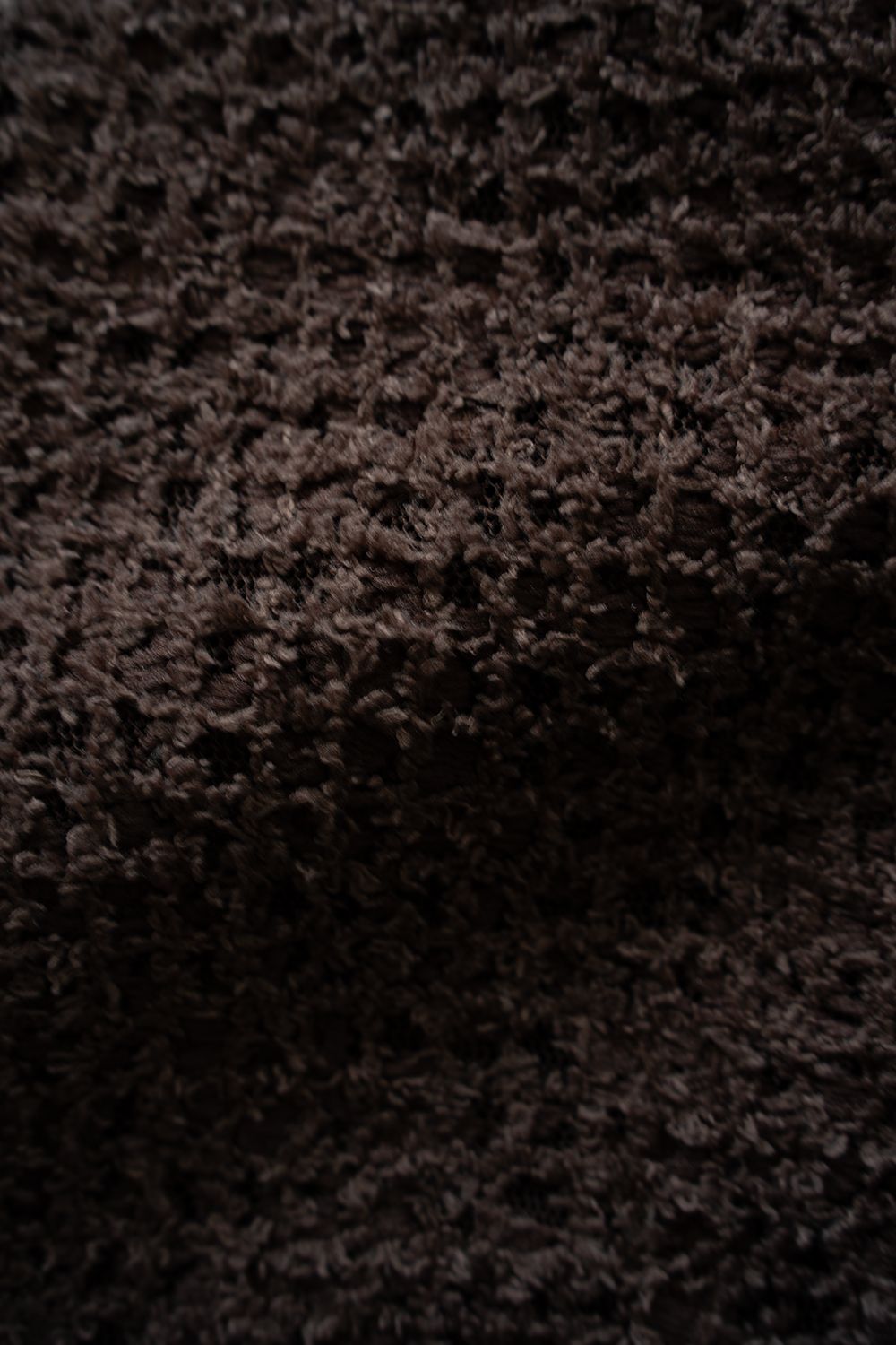 【ラスト1点】【26SS】Feather Lace Shirt/フェザーレースシャツ(BROWN)