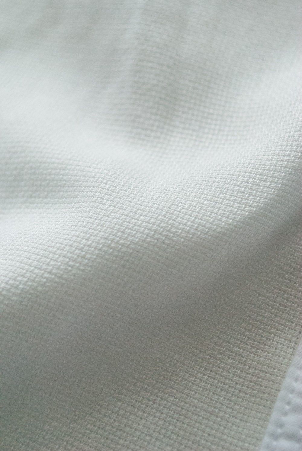 KICS DOCUMENT. - 【定番人気】Typewriter Cotton Bosom W/Bow