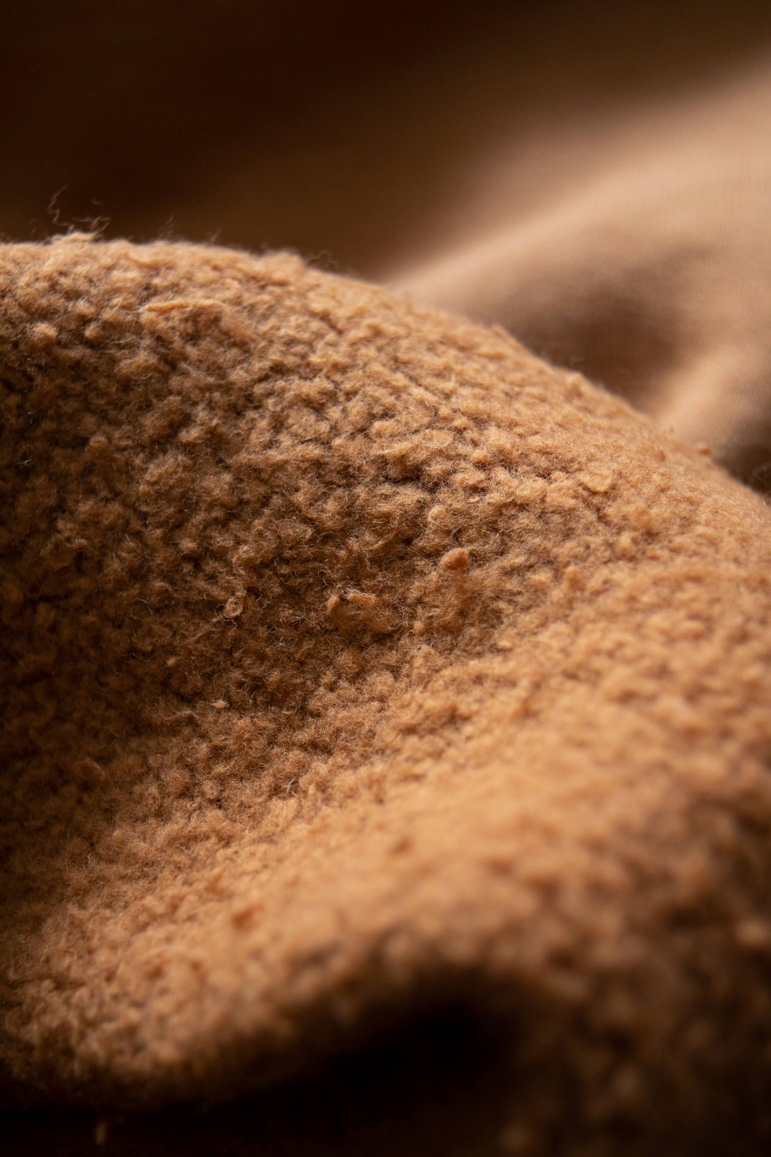【19AW】 Crew Neck Sweat(CAMEL)