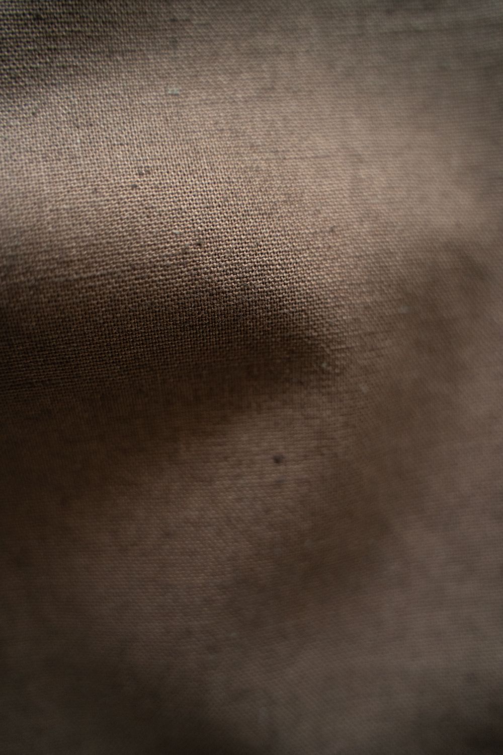 【ラスト1点】【23SS】Semi Wide Relaxed Pants(BROWN)
