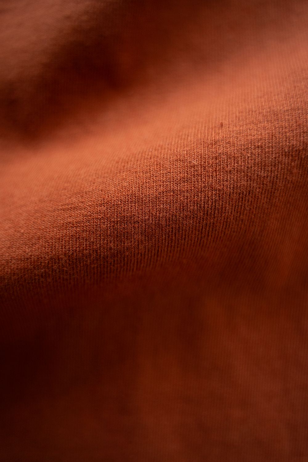 【ラスト1点】【24SS】Loopwheele Crew Neck T-Shirts(TERRA COTTA)