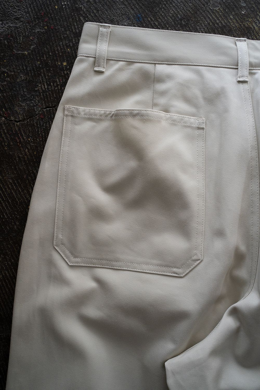【ラスト1点】【25SS】コットンツイルワイドペインターパンツ(ECRU)