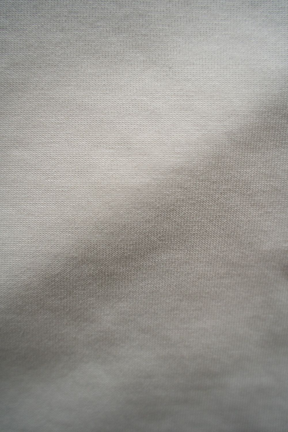 【ラスト1点】【25SS】強撚コットン度詰Tシャツ(PALE GRAY)