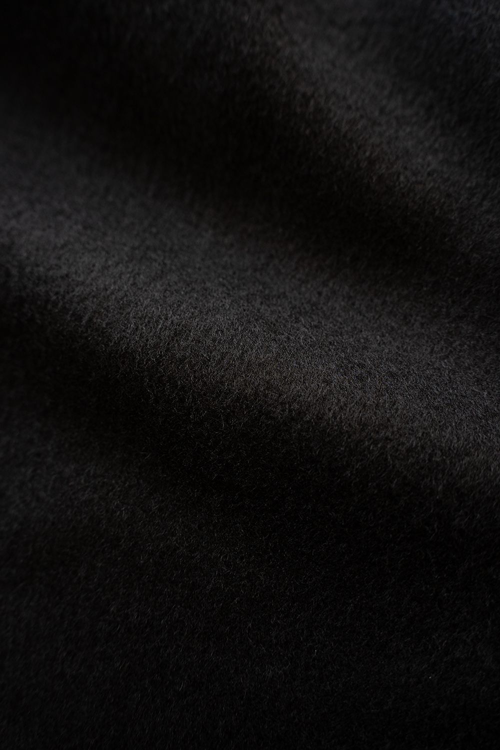 【26AW】Super100'sローデンクロスシンサレートスタンドカラーブルゾン(BLACK)