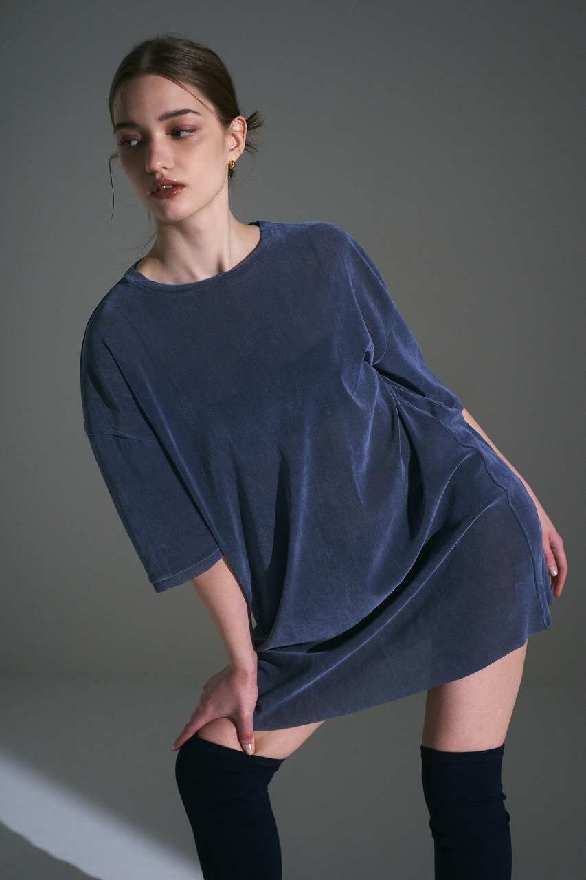 フロッキーチュールベアドレス (ブルーグレー) Flocked Tulle Dress (Blue Gray) /  26AW