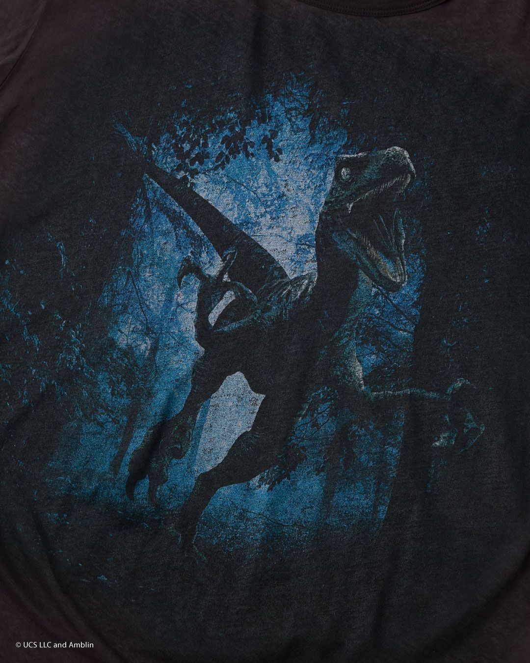 jurassic world sheer jersey big-T / ジュラシックワールドコラボ シアーTシャツ (ブルー)