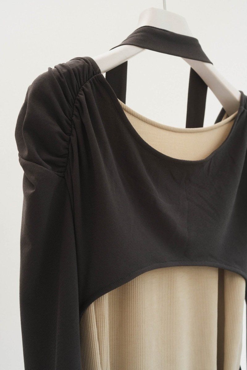 2way layered one piece / 2ウェイ レイヤードワンピース (グレーベージュ)