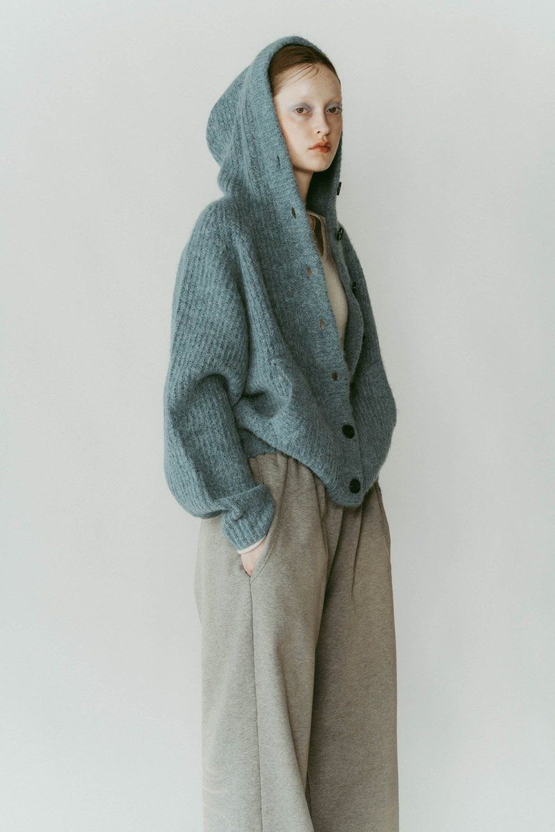 hooded cardigan knit / フーデッド カーディガンニット (ブルー) / 25AW
