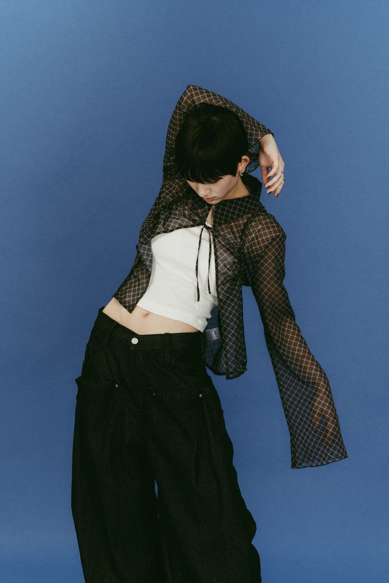 sheer collared blouse (Black) / シアー ブラウス (ブラック) / 26SS