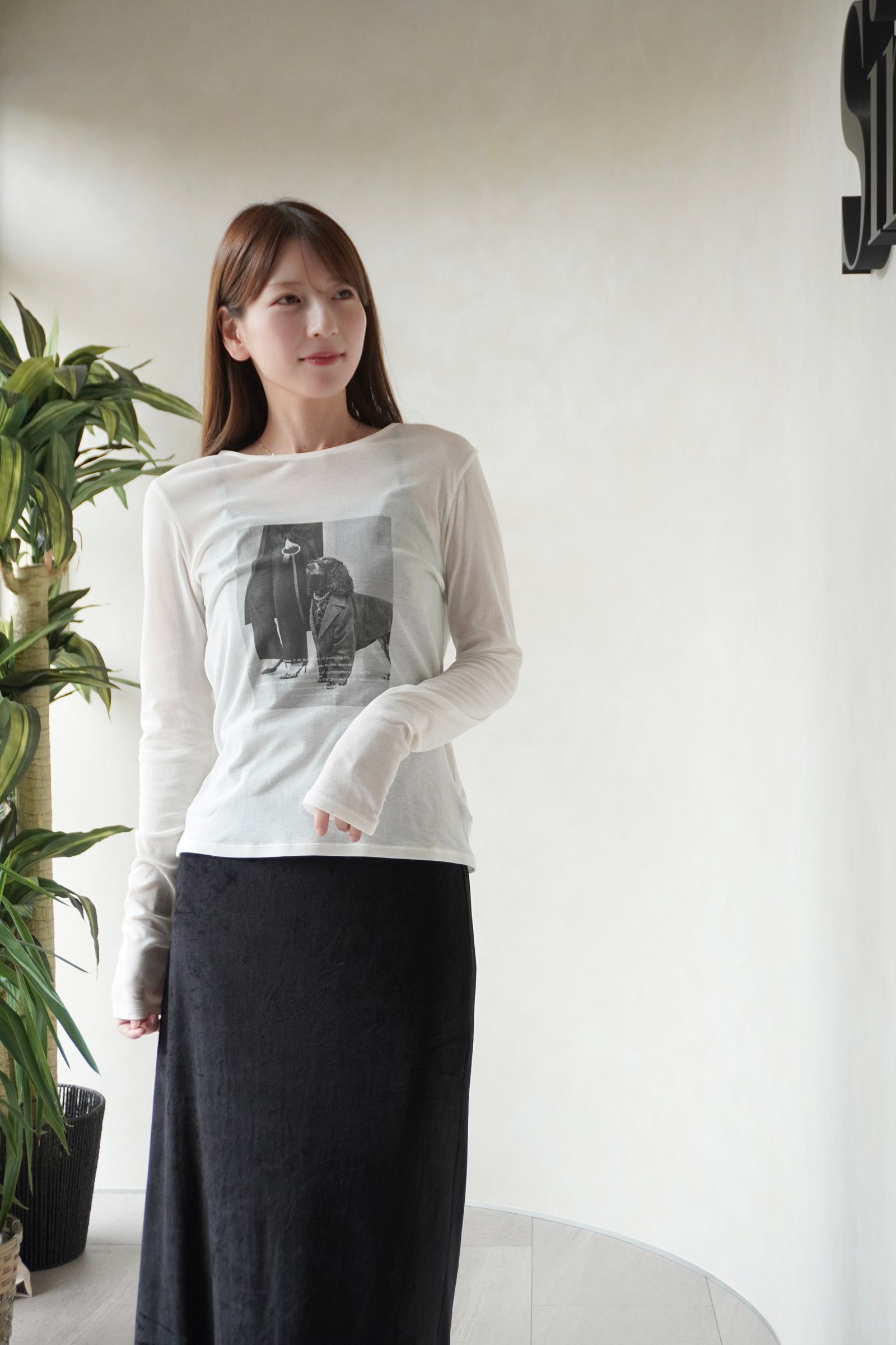 シアーフォトコンパクトロンT (ホワイト) Sheer Photo Compact Long-Sleeve Tee (White) / 26AW
