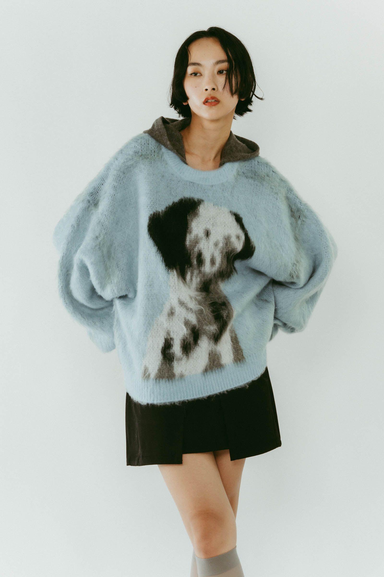 dalmatian shaggy knit(unisex) / ダルメシアン シャギーニット (ブルー) / 25AW