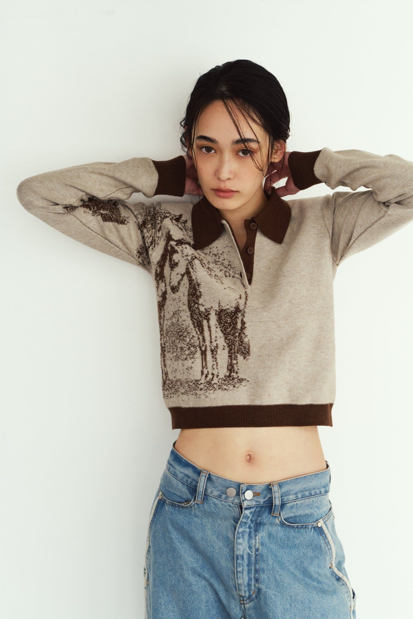 ジャガードポロニット (ブラウン) jacquard polo knit (Brown) / 26AW
