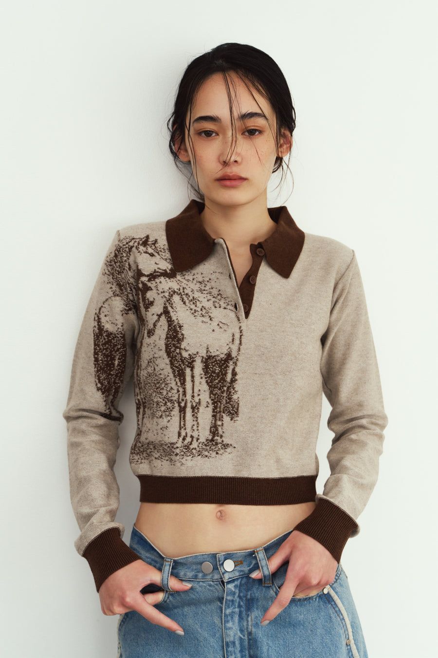 ジャガードポロニット (ブラウン) jacquard polo knit (Brown) / 26AW